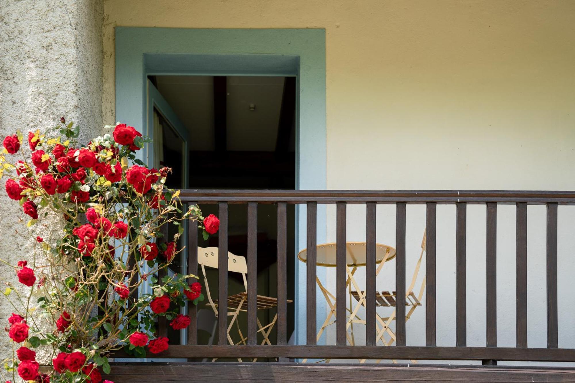 Domaine De Ramonjuan Otel Bagnères-de-Bigorre Dış mekan fotoğraf